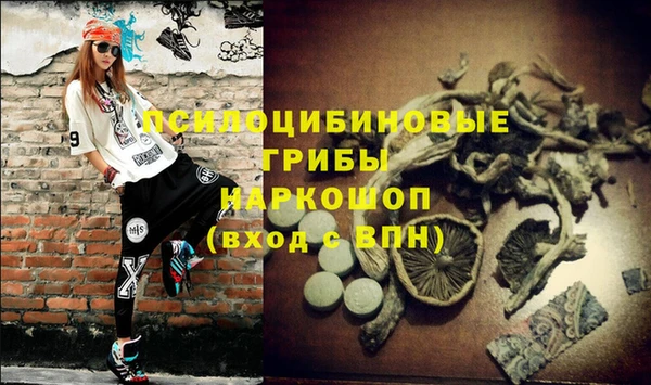 СК Белокуриха