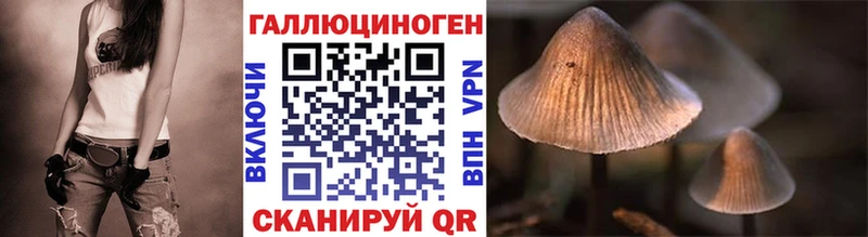 Галлюциногенные грибы MAGIC MUSHROOMS  где найти наркотики  Ярцево 