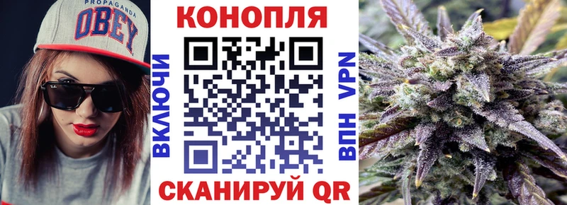 продажа наркотиков  Ярцево  Шишки марихуана план 